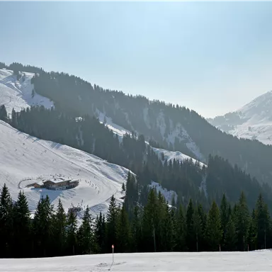 Eine schneebedeckte Berglandschaft mit grünen Nadelbäumen. Im Hintergrund sind die majestätischen Berge und ein klarer blauer Himmel zu sehen.