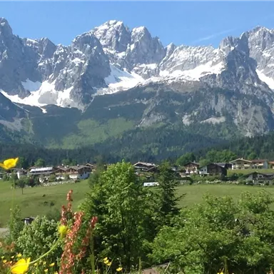 Eine beeindruckende Berglandschaft mit schneebedeckten Gipfeln und grünen Wiesen. Im Vordergrund blühen bunte Blumen und ein kleines Dorf ist sichtbar.