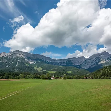 A wide landscape with green meadows and majestic mountains in the background. The sky is clear with a few white clouds.