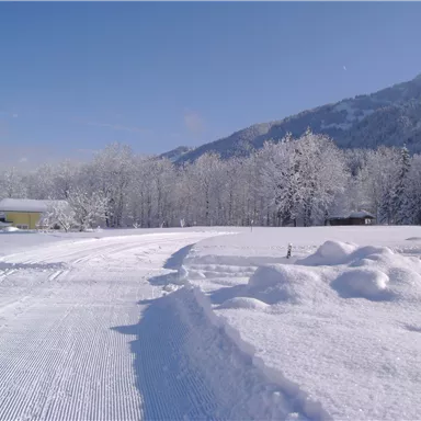 A winter landscape with plenty of snow and snow-covered trees. In the background, mountains and a blue sky can be seen.