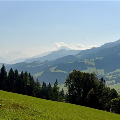 Eine malerische Berglandschaft mit grünen Wiesen und bewaldeten Hängen. Die Berge sind von einer leichten Nebelatmosphäre umgeben.