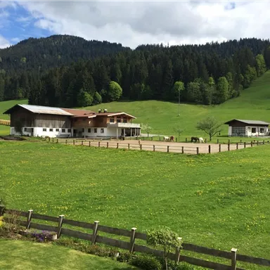 Eine ruhige Landschaft mit grünen Wiesen und Bergen im Hintergrund. Im Vordergrund stehen mehrere Gebäude und ein Reitplatz.