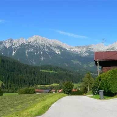 Eine malerische Landschaft mit hohen Bergen und üppigem Grün. Im Vordergrund steht ein schönes Haus an einer ruhigen Straße.