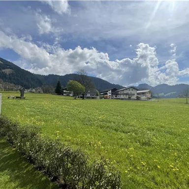 A wide, green meadow under a blue sky with some clouds. In the background, mountains and a building are visible.