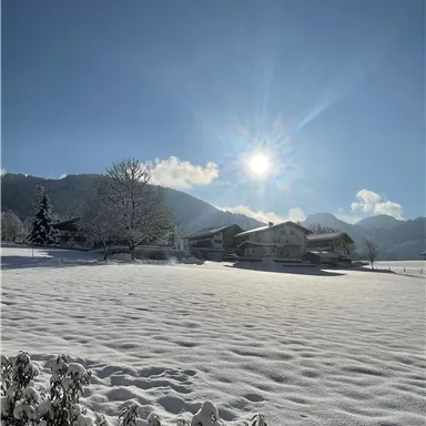 A snowy landscape with a clear blue sky. The sun shines over a calm, winter scene.