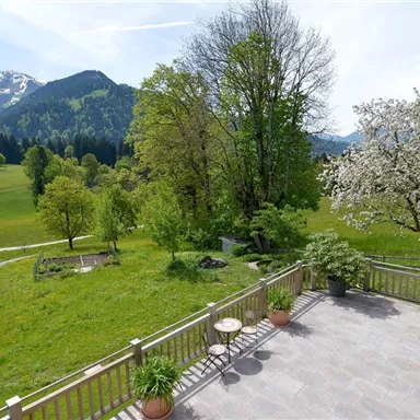 A beautiful view of a green meadow with trees and mountains in the background. The sky is clear and the landscape is idyllic.