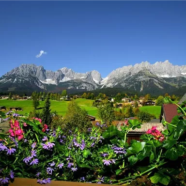 Eine malerische Berglandschaft mit hohen Gipfeln und grünen Wiesen. Im Vordergrund blühen bunte Blumen.