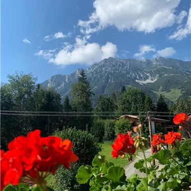 Ein schöner Ausblick auf die Berge mit grünen Wäldern und bunten Geranien im Vordergrund. Der Himmel ist klar mit einigen Wolken.