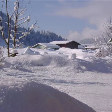 A snowy landscape with a clear blue sky. In the background, some houses and trees are visible.