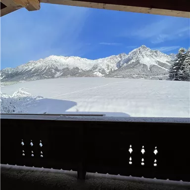 Snow-covered mountains under a clear blue sky. The view is calm and wintry.