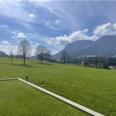 A green meadow with a few trees and gentle hills in the background. The sky is blue with a few clouds.