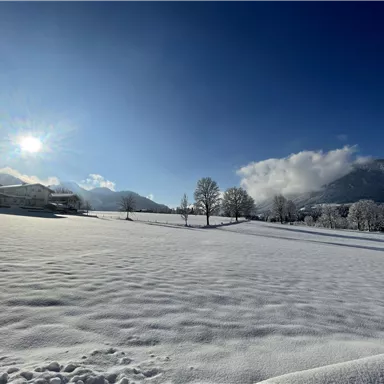 A snowy landscape under a clear blue sky. The sun shines brightly over the vast, glittering snow surface.