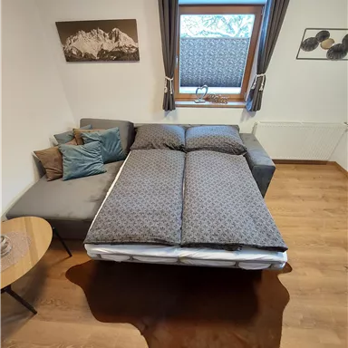 Ein gemütliches Zimmer mit einem Schlafsofa und einem runden Tisch. Dezente Farbgebung und eine Fensteransicht sorgen für eine einladende Atmosphäre.