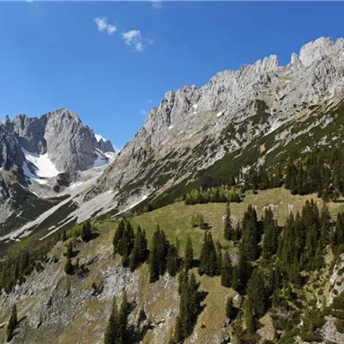Eine beeindruckende Berglandschaft mit hohen Felsen und grünen Wiesen. Der Himmel ist klar und die Natur ist unberührt.