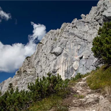 Eine beeindruckende Felswand umgeben von grünem Strauchwerk. Der Himmel ist blau mit ein paar weißen Wolken.