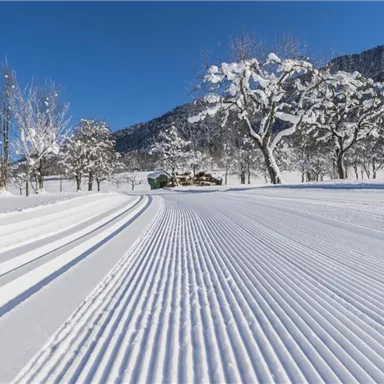 Eine verschneite Landschaft mit intensiven Skispuren im Schnee. Im Hintergrund sind schneebedeckte Bäume und bergige Ausläufer zu sehen.