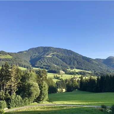 A picturesque landscape with gentle hills and green meadows. In the background, majestic mountains rise under a clear sky.