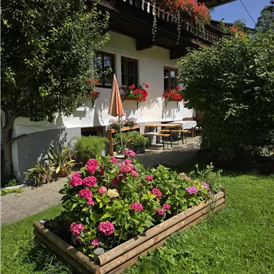 A beautiful house with a blooming garden. There are colorful flowers and a sunny seating area.