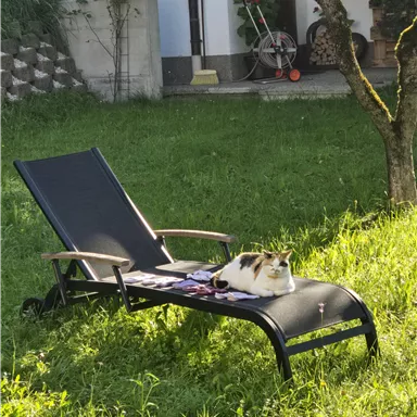 A cat is lying relaxed on a lounge chair in the garden. The grass is green and the surroundings are calm.