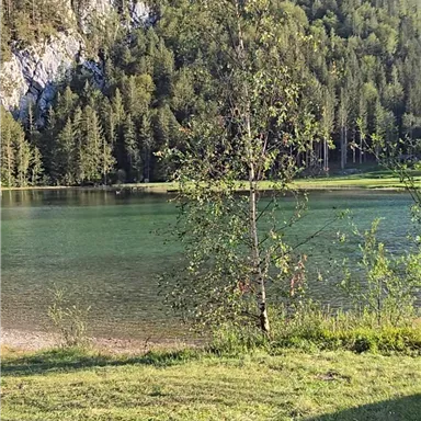 A peaceful lake surrounded by trees and mountains. The sky is blue and nature is green and inviting.