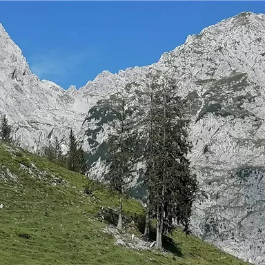 A picturesque mountain landscape with high, rocky peaks. In the foreground are green meadows and some trees.