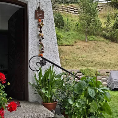 A beautiful front door with plants and red flowers. In the background, a well-kept garden can be seen.