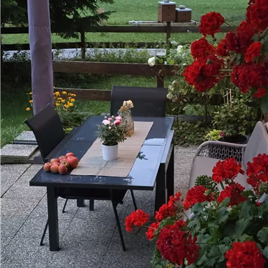 A lovely garden area with a table and chairs. Red flowers surround the table, which is decorated with a small vase and some fruit.