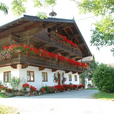 Ein traditionelles, zweigeschossiges Holzhaus mit blühenden Balkonkästen und bunten Blumen. Umgeben von Bäumen und einem gepflegten Garten.
