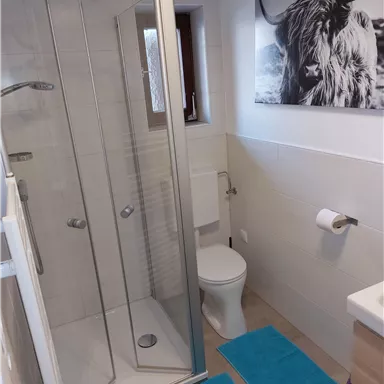 A modern bathroom with a glass shower and a toilet. On the wall hangs a black-and-white picture of a Highland cow.