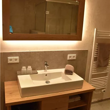 A modern bathroom with a wooden washbasin and a large mirror. The walls are painted in neutral tones, and towels are ready.