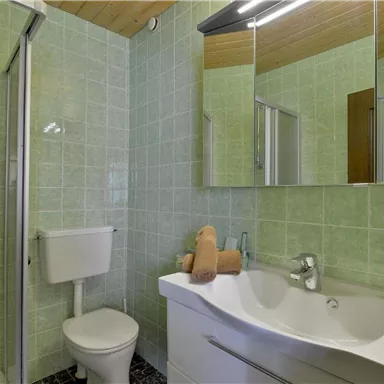 A modern bathroom with green tiles and a large mirror. The fixtures include a shower, a sink, and a toilet.