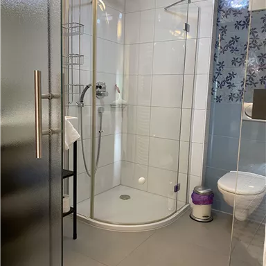 Ein modernes Badezimmer mit einer Glasdusche und einem WC. Die Wände sind hell gefliest, und es gibt einen kleinen Regalbereich.
