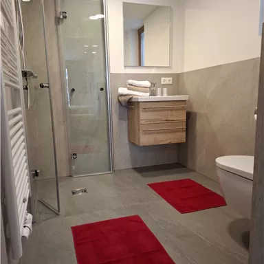 A modern bathroom with a shower, a sink, and a toilet area. Red carpets provide a color accent on the gray floor.