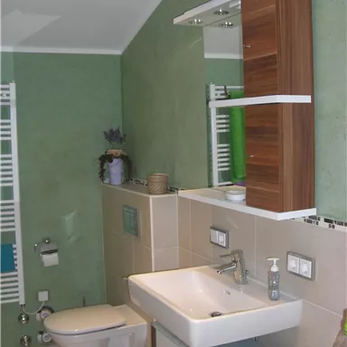 A modern bathroom with green walls and elegant wooden shelves. It features a sink, a toilet, and decorative furnishings.