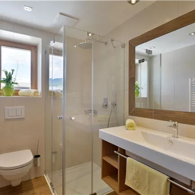 A modern bathroom with a shower and a large mirror. Bright colors and plants create an inviting atmosphere.