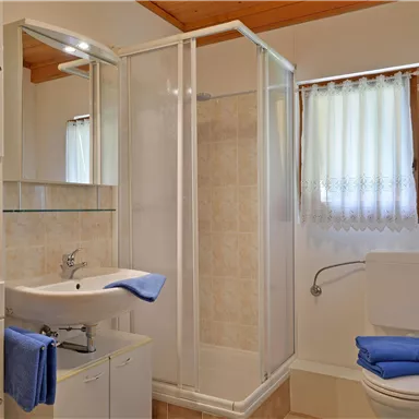 A modern bathroom with a shower, a sink, and a toilet. The decor is bright and friendly, with blue towels and a window.