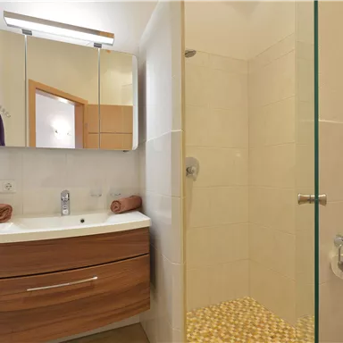 A modern bathroom with a wooden vanity and a large mirror. The shower is equipped with a glass partition.