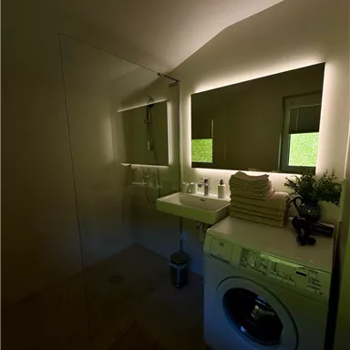 A modern bathroom with a large mirror surface and a washing machine. The ambiance is bright and friendly, with a couple of green plants.
