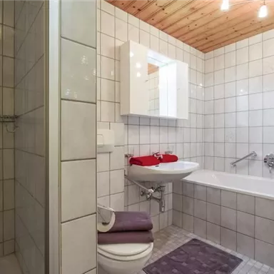 A bright bathroom with a shower and a bathtub. The walls are tiled and there are towels in red and purple.