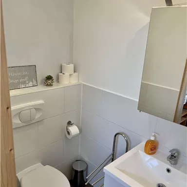 Ein modernes Badezimmer mit einer Toilette, einem Waschbecken und einem Spiegel. Es gibt auch einige dekorative Elemente wie Pflanzen und Seife.
