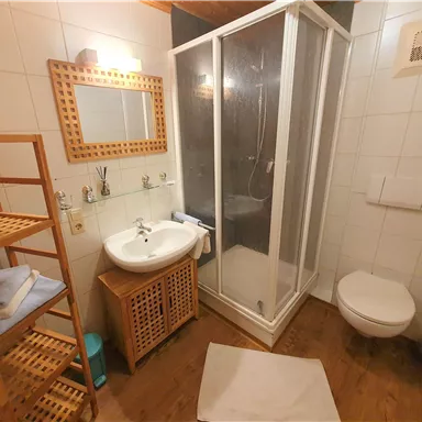 A modern bathroom with a shower, sink, and toilet. Wooden shelves and towels create a cozy atmosphere.