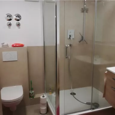 Das Bild zeigt ein modernes Badezimmer mit einer Dusche und einem Waschbecken. Es gibt ein WC und helle Fliesen an den Wänden.