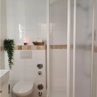 Ein modernes Badezimmer mit einer Duschkabine und einer Toilette. Die Wände sind hell gefliest, und es gibt eine kleine Pflanze sowie dekorative Elemente.
