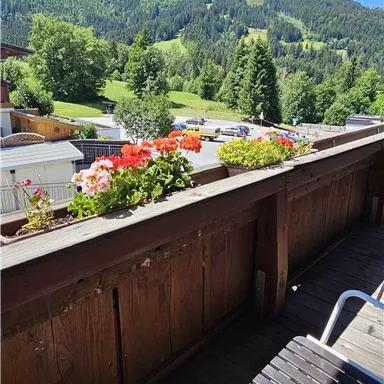 A balcony with blooming plants and a view of green mountains. The sky is clear and blue, ideal for relaxation.