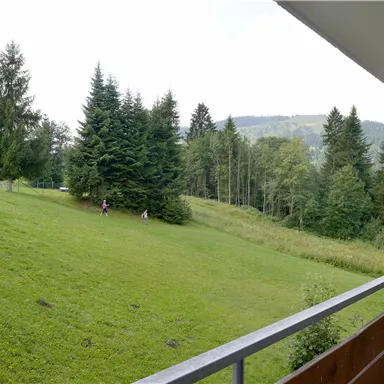 Ein ruhiger Ausblick auf eine grüne Wiese mit Bäumen im Hintergrund. Im Vordergrund ist ein Balkon zu sehen.