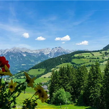 A beautiful landscape with mountains in the background and green hills. In the foreground, colorful flowers are blooming.