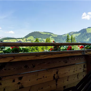 A balcony with flowers and a beautiful view of the green mountains. The sky is blue and some clouds are visible.
