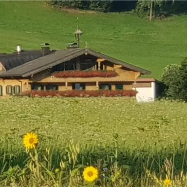 Ein schönes Landhaus umgeben von grünen Wiesen und Sonnenblumen. Die Landschaft ist sonnig und friedlich.