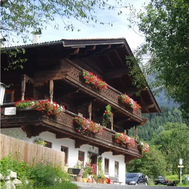 Ein traditionelles Holzhaus mit Blumenkästen und Balkonen. Die Umgebung ist grün und hügelig.