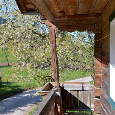 Ein Holzhaus mit einem Balkon und Blick auf einen blühenden Baum. Im Hintergrund sind eine grüne Wiese und eine asphaltierte Straße sichtbar.